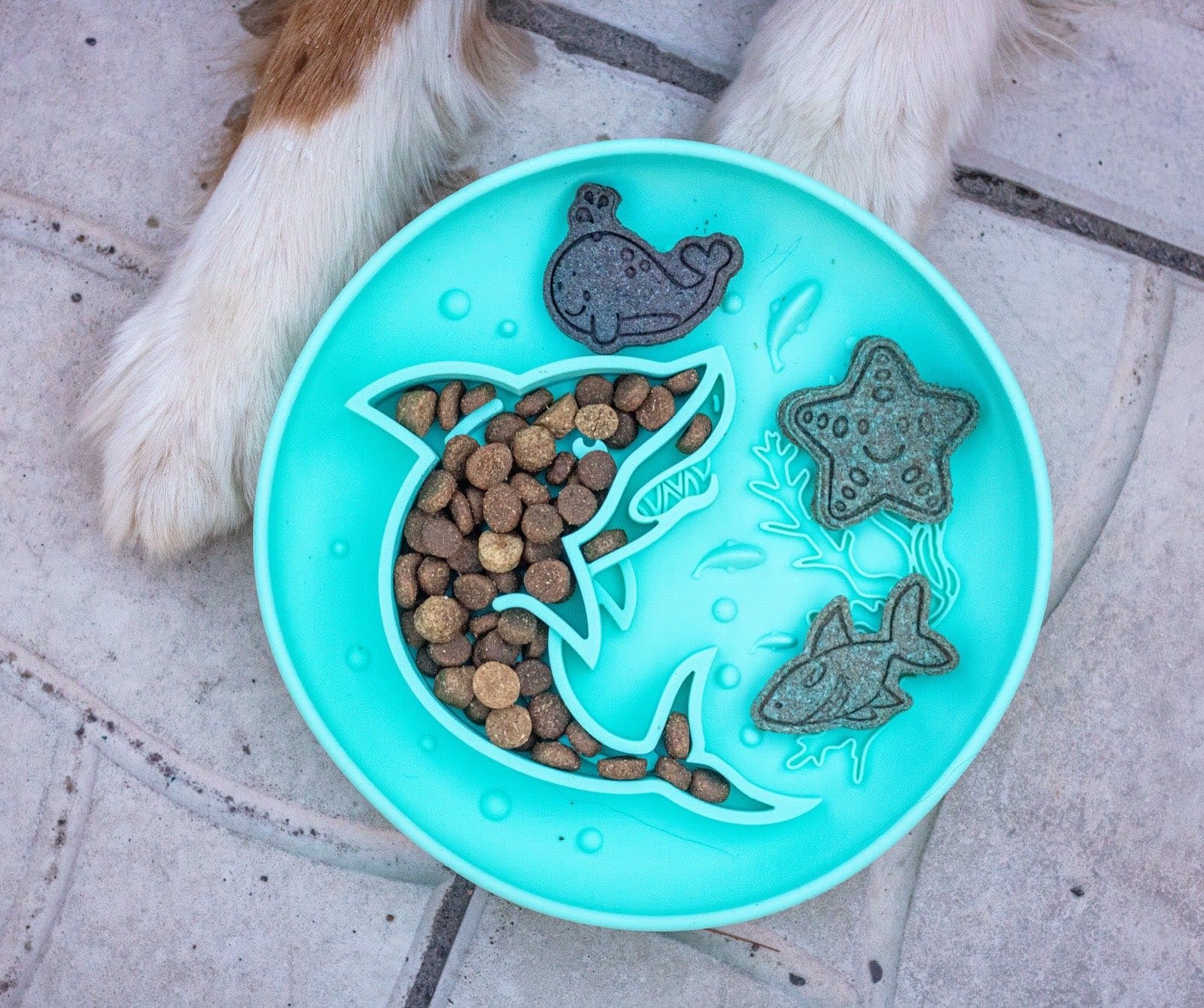 Turquoise enrichment bowl suctioned to shower tile, with two dog paws close by