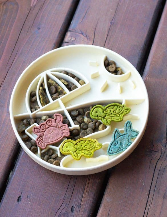 A festive assortment of colourful treats arranged in a circle