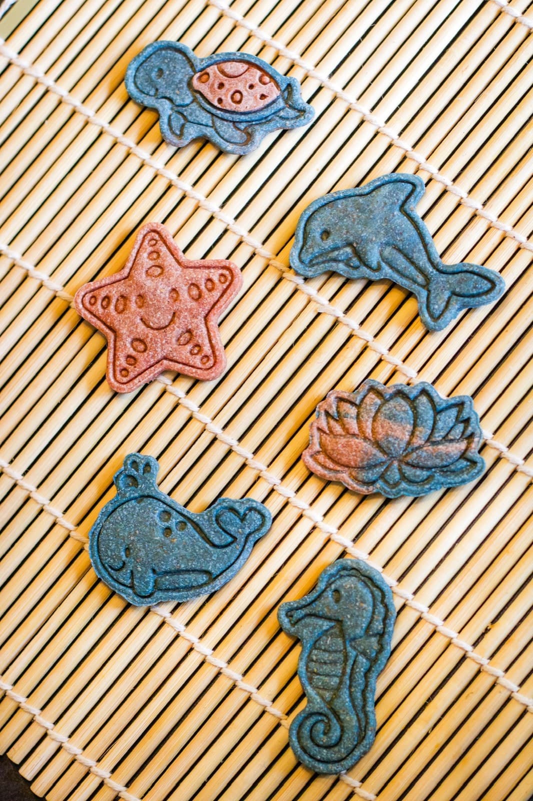 Kit Trésors des mers : dauphin, baleine, tortue, hippocampe et étoile de mer