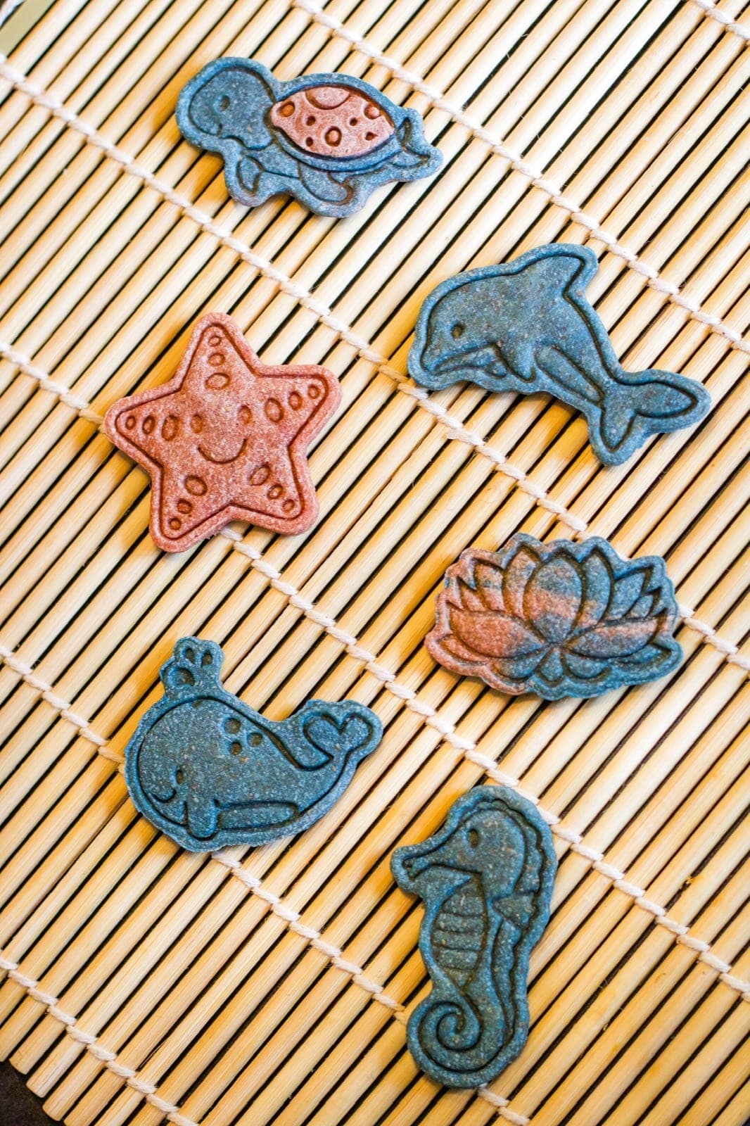 Ocean Treasures Pack: dolphin, whale, turtle, seahorse and starfish