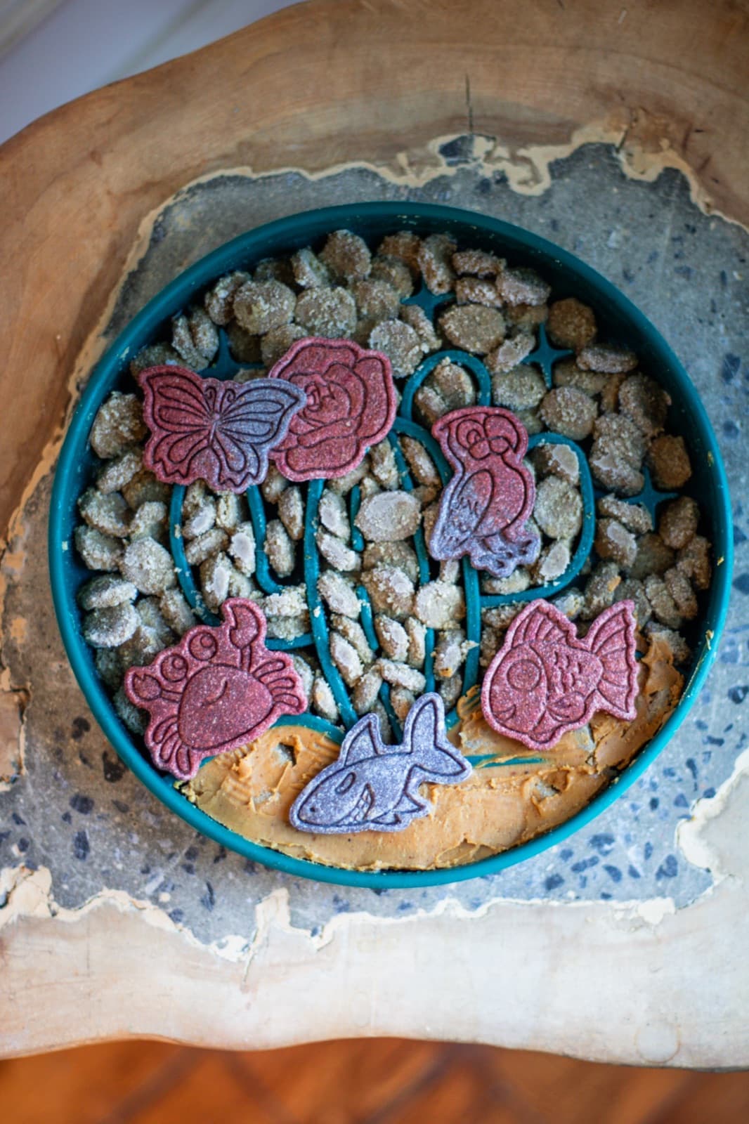 Kit Jardin des récifs : rose, papillon, perroquet, crabe et poisson